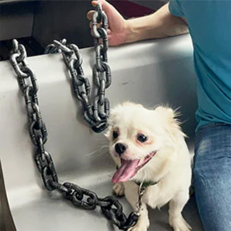 Drôle imite la laisse de la chaîne de chiens en fer