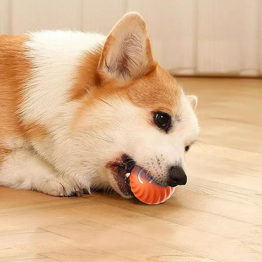 Saldi imperdibili 49% di sconto🎁Palla interattiva Smart Pet Bounce🐶