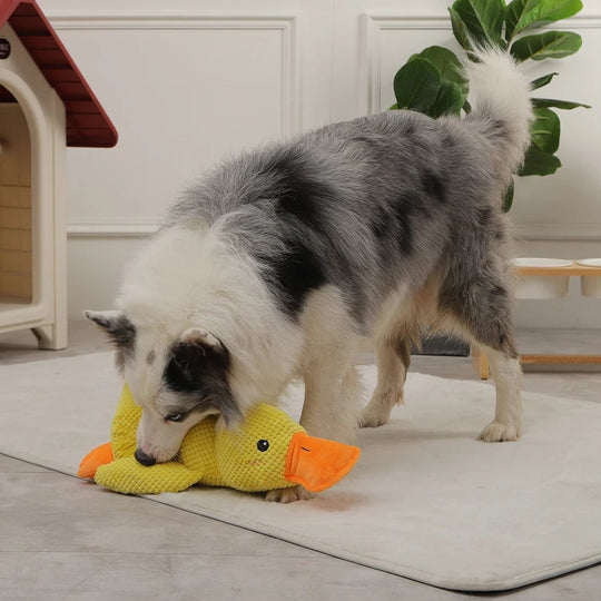 🔥BIG SALE🔥-Quack-Quack Duck Dog Toy-2