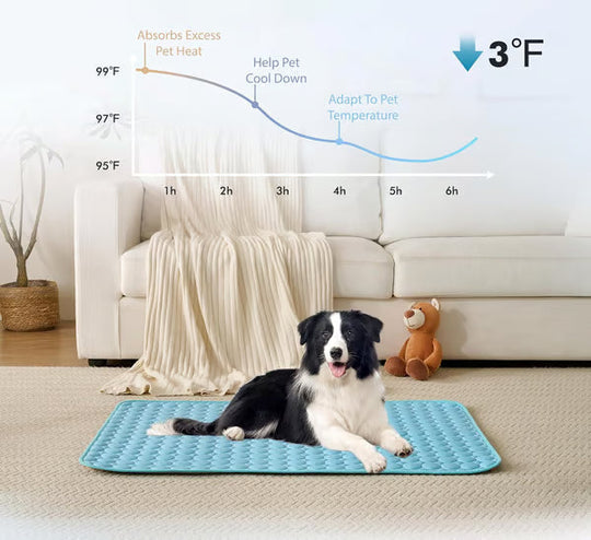 🐈‍⬛🐱Summer Hot Sale 49% OFF🧊Premium Cooling Mat For Pet🐶🐩