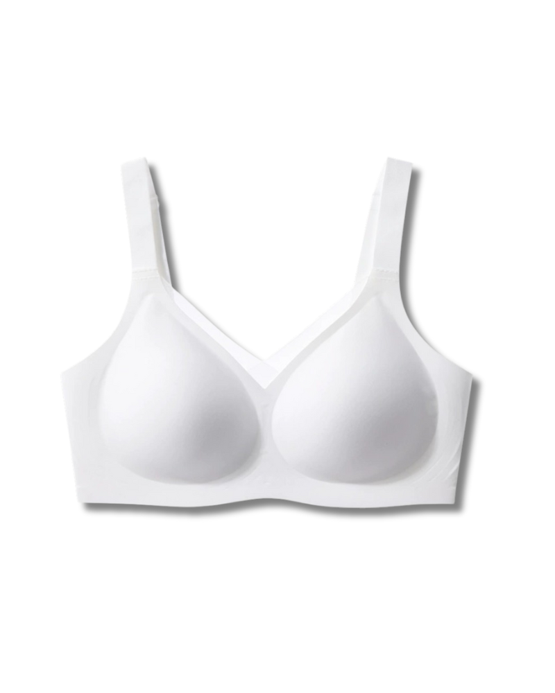 HSIA CardiComfort Seamless T-Shirt Minimiser Bra Plus Size Underwired Full Coverage Smooth Wide Strap