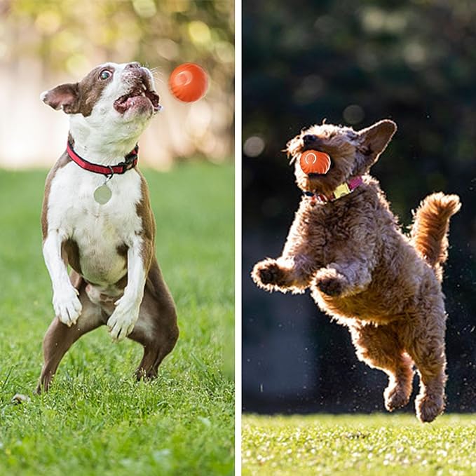 Saldi imperdibili 49% di sconto🎁Palla interattiva Smart Pet Bounce🐶