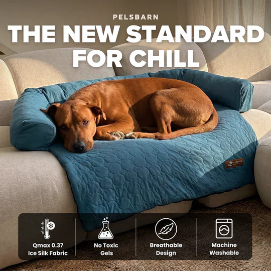 Cooling Dog Bed