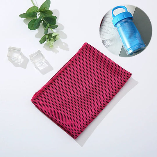 🎉Buy 1 Get 1 Free🔥Absorbent Quick-Drying Gym Cooling Towels