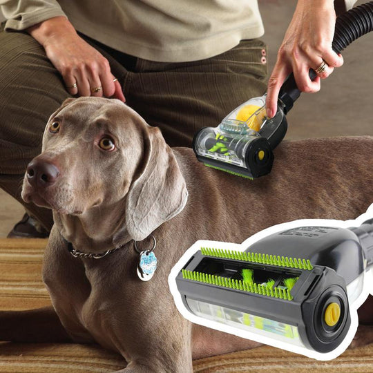 📢📢50% OFF ! ⏰SPARES2GO Universal Vacuum Cleaner Mimi Turbo Brush Pet Hair Remover Tool