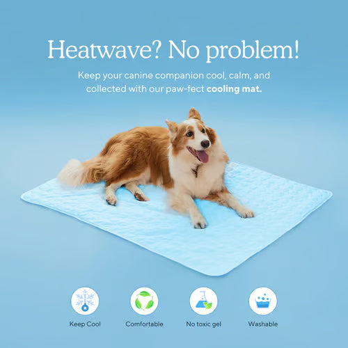 🧊Dog Cooling Mat (4x more effective)