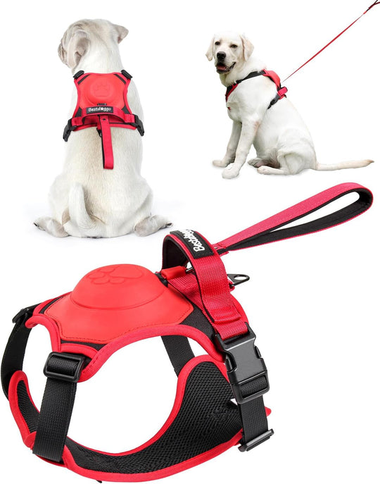 Dog Harness and Retractable Leash Set All-in-One🎅 Christmas For The Dog‘s Gift🎅-16