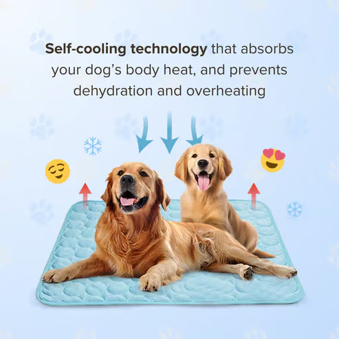 🐈‍⬛🐱Summer Hot Sale 49% OFF🧊Premium Cooling Mat For Pet🐶🐩