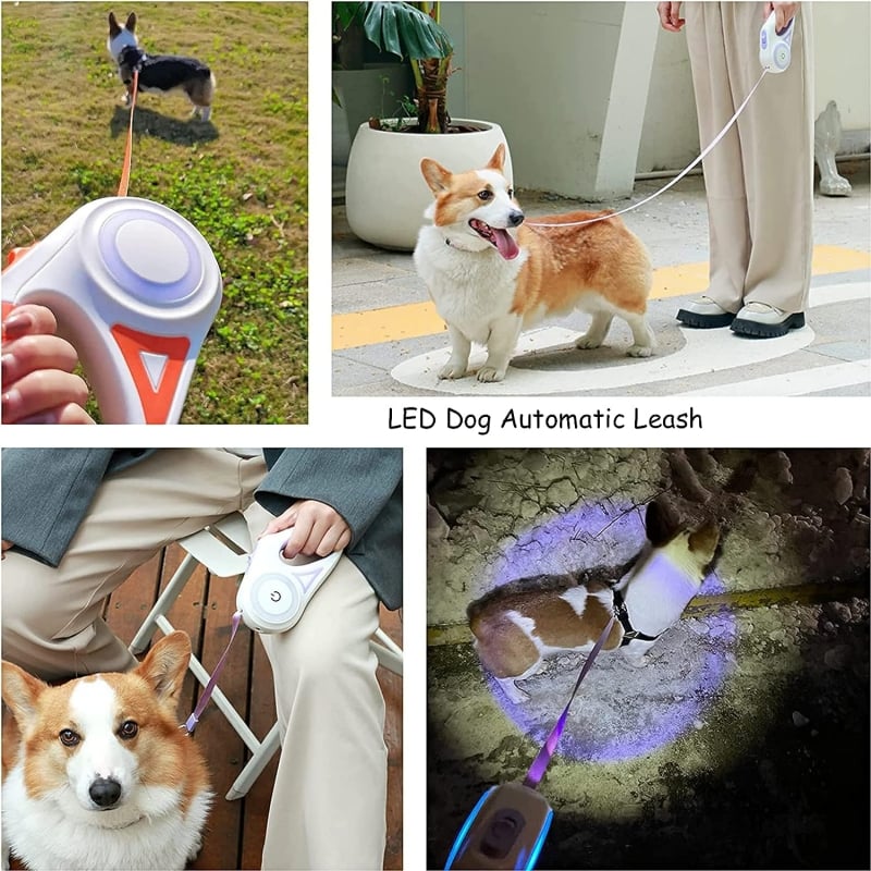 Luminous lead for pets