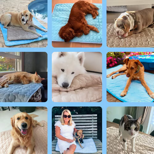 🐈‍⬛🐱Summer Hot Sale 49% OFF🧊Premium Cooling Mat For Pet🐶🐩
