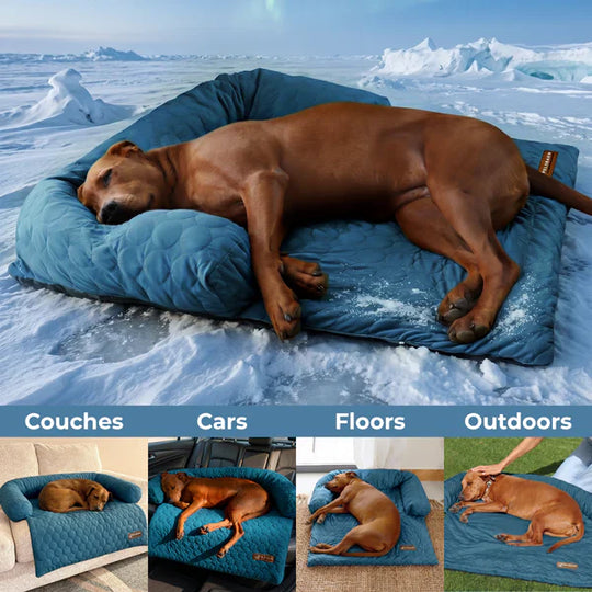 Cooling Dog Bed