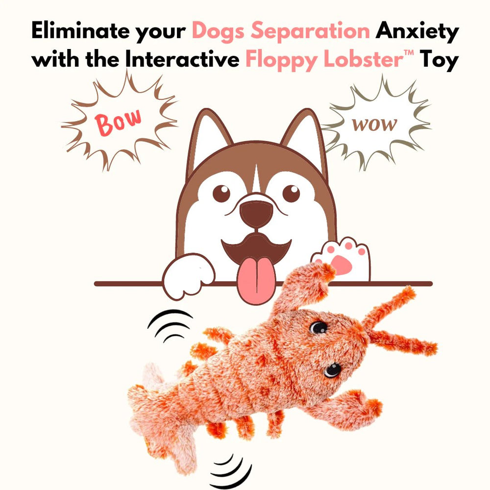 49% OFF🔥Floppy Lobster Interactive Dog Toy-1