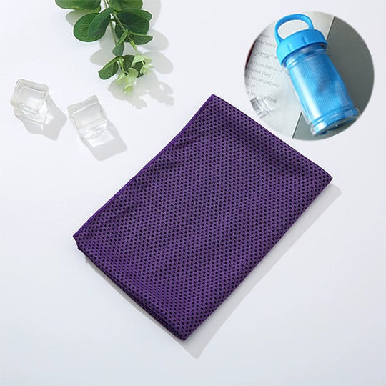 🎉Buy 1 Get 1 Free🔥Absorbent Quick-Drying Gym Cooling Towels