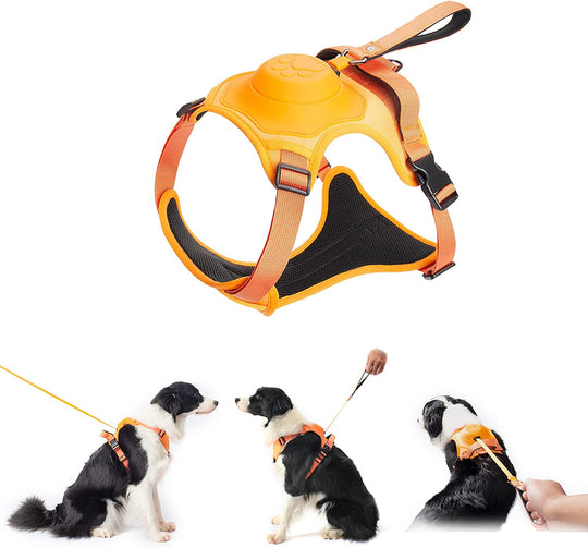Dog Harness and Retractable Leash Set All-in-One🎅 Christmas For The Dog‘s Gift🎅-13