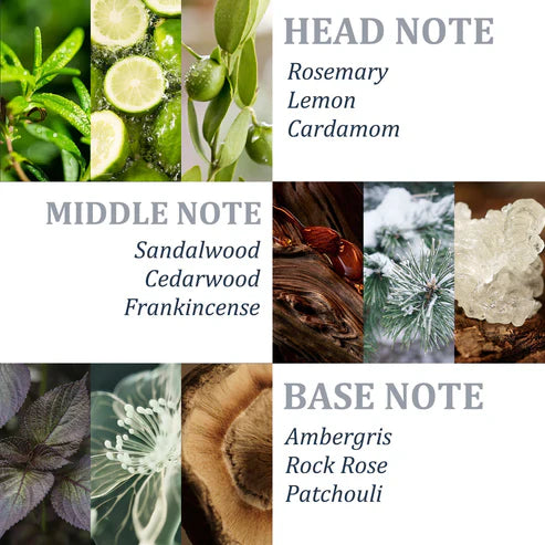 Tgideas Rosemary Shampoo-450ML