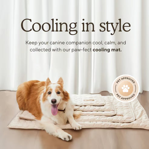 🐈‍⬛🐱Summer Hot Sale 49% OFF🧊Premium Cooling Mat For Pet🐶🐩