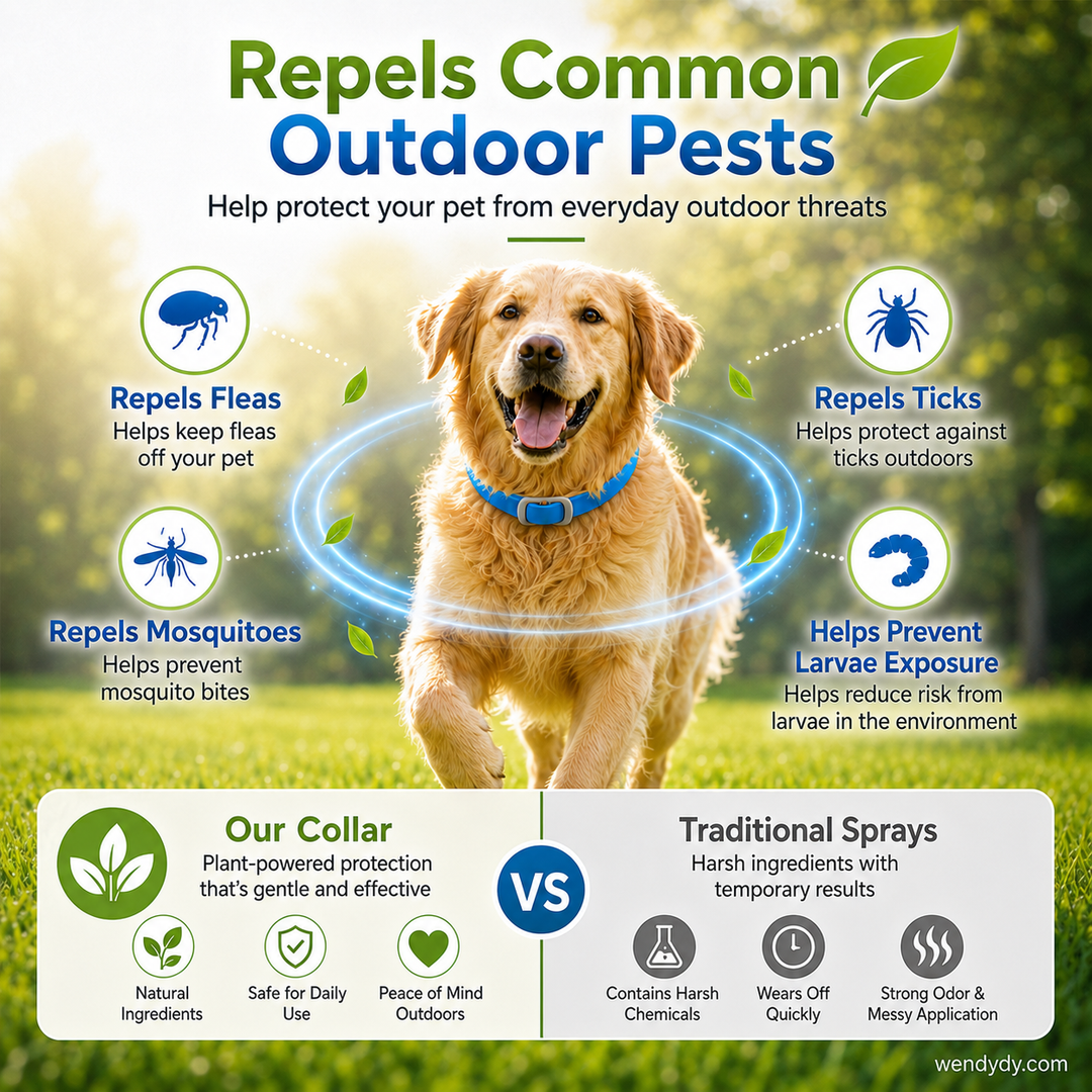 🐾Natural Essential Oil Pet Pest Repellent Collar