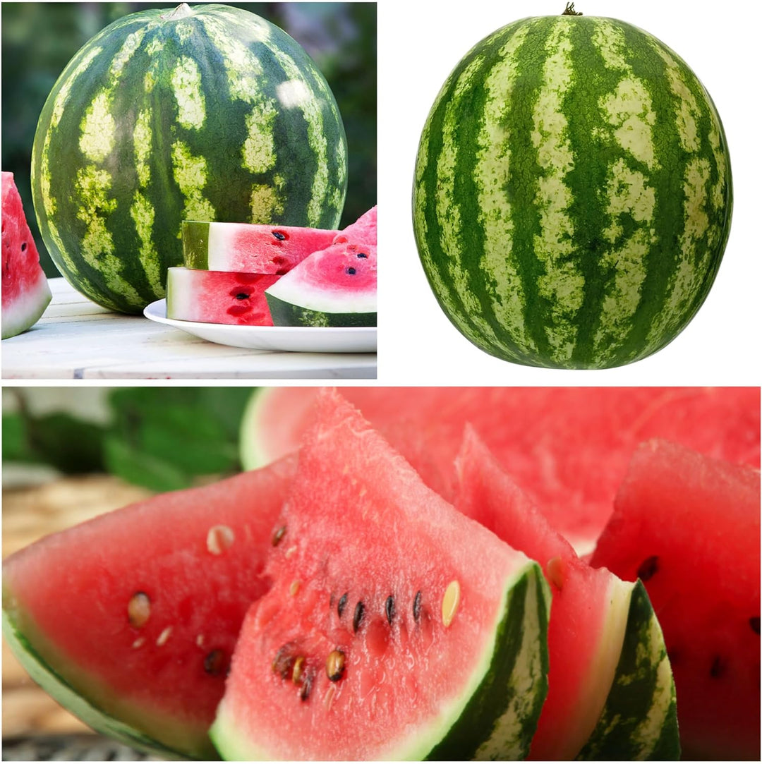 🍉Sjemenke rubin lubenice u lončanicama🌱✨