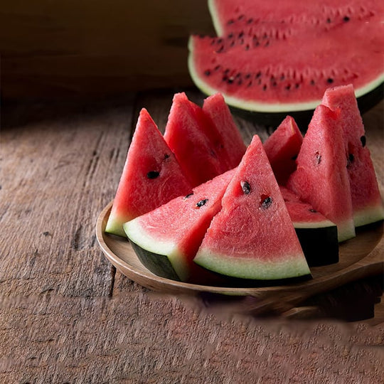 🍉Sjemenke rubin lubenice u lončanicama🌱✨
