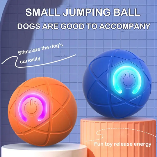 Saldi imperdibili 49% di sconto🎁Palla interattiva Smart Pet Bounce🐶