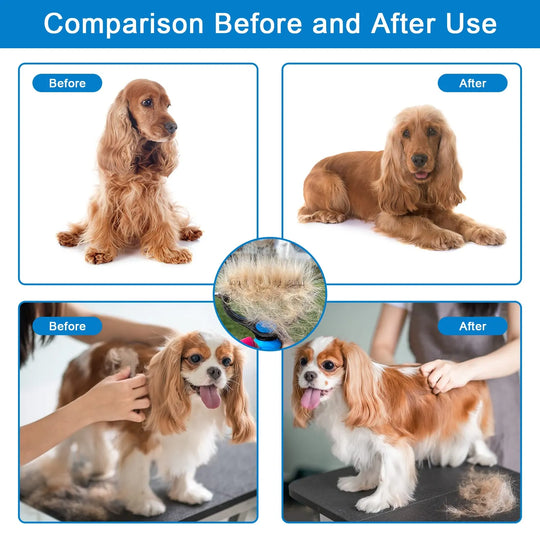 🐶Dual-Sided Pet Grooming Comb for Dogs & Cats