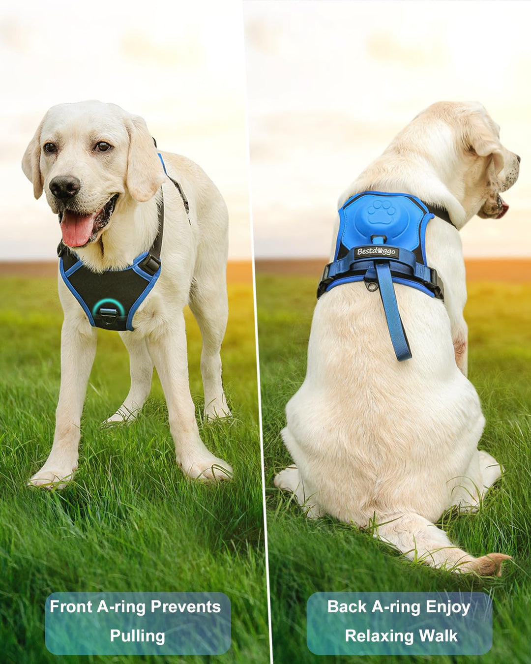 Dog Harness and Retractable Leash Set All-in-One🎅 Christmas For The Dog‘s Gift🎅-4