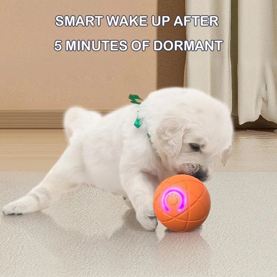 Saldi imperdibili 49% di sconto🎁Palla interattiva Smart Pet Bounce🐶