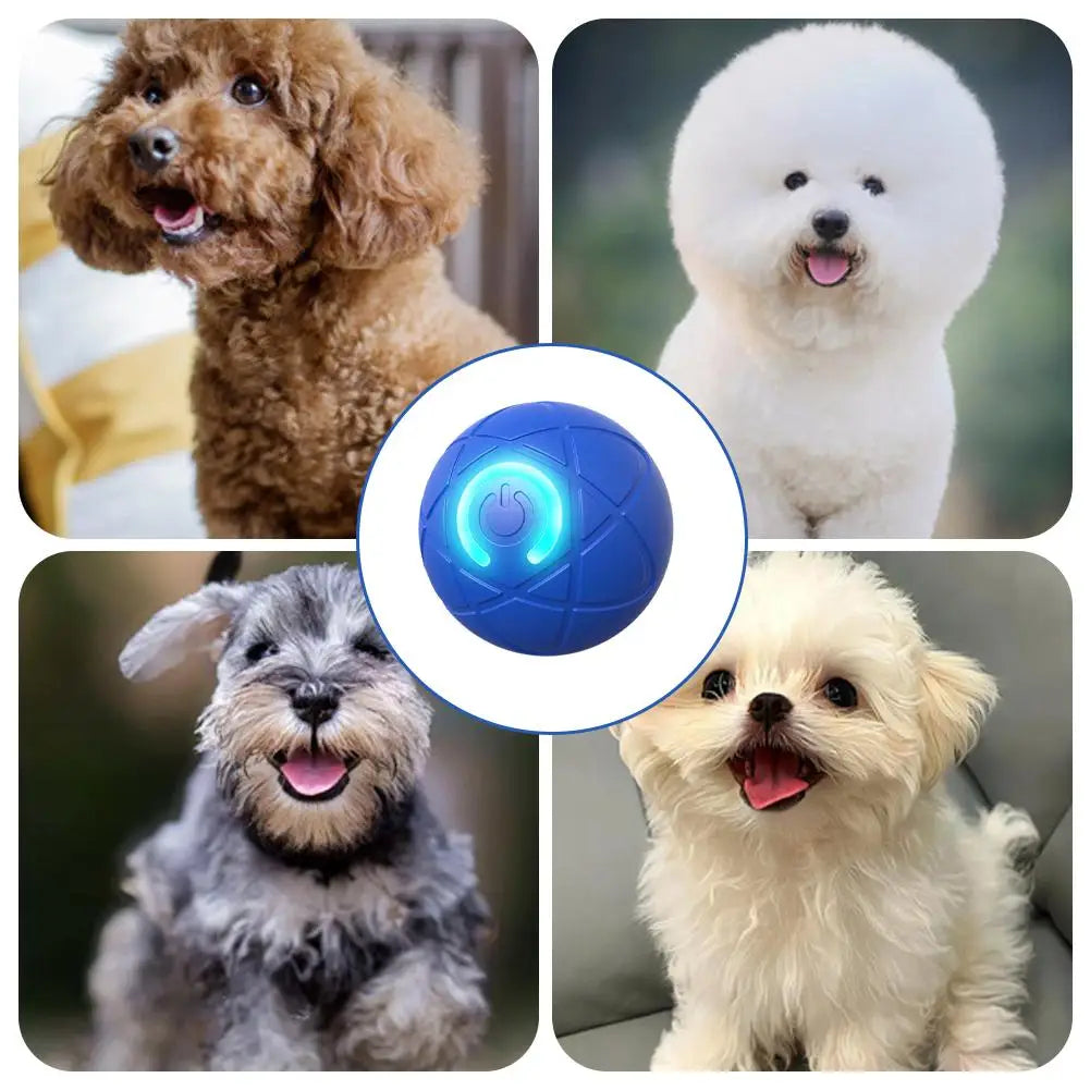 Saldi imperdibili 49% di sconto🎁Palla interattiva Smart Pet Bounce🐶