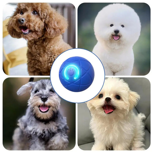 Saldi imperdibili 49% di sconto🎁Palla interattiva Smart Pet Bounce🐶