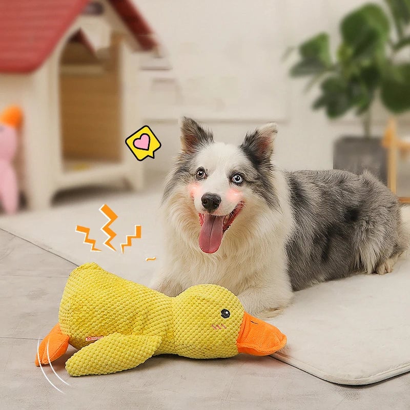 🔥BIG SALE🔥-Quack-Quack Duck Dog Toy