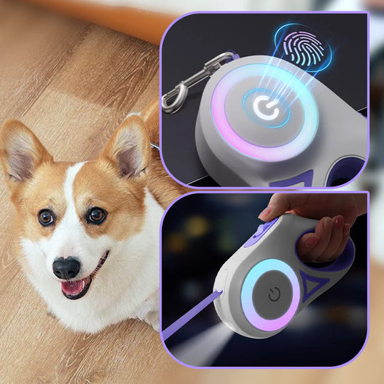 Retractable Dog Leash with LED Light-2