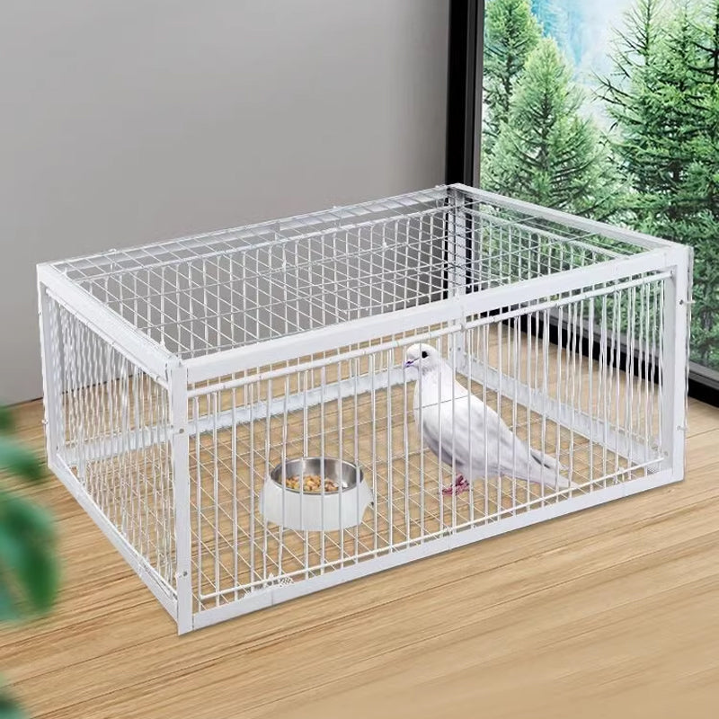 AutoTrap Bird Cage - Entry Only, No Exit, With Base-1