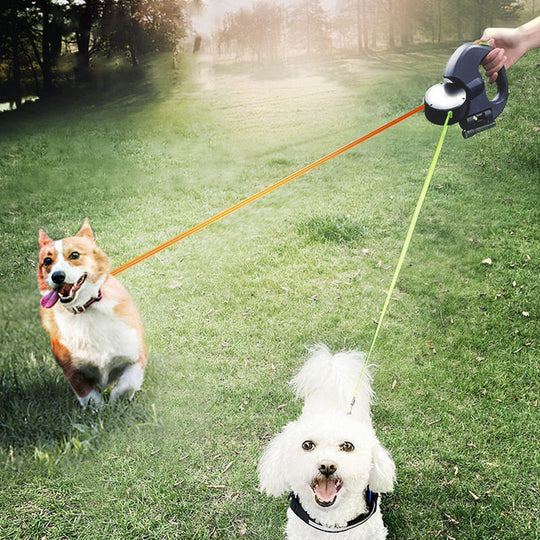 🔥Hot Sale🔥Two-in-One Multifunctional Dog Walker