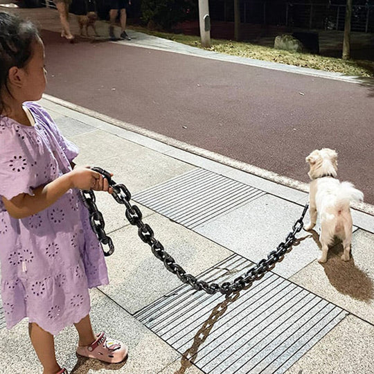 Funny Imitates Iron Dog Chain Leash