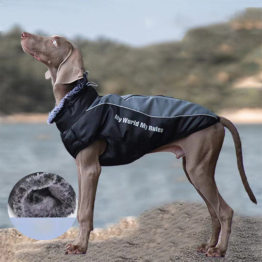 🔥Waterproof Warm Vest Jacket for Dog🎁