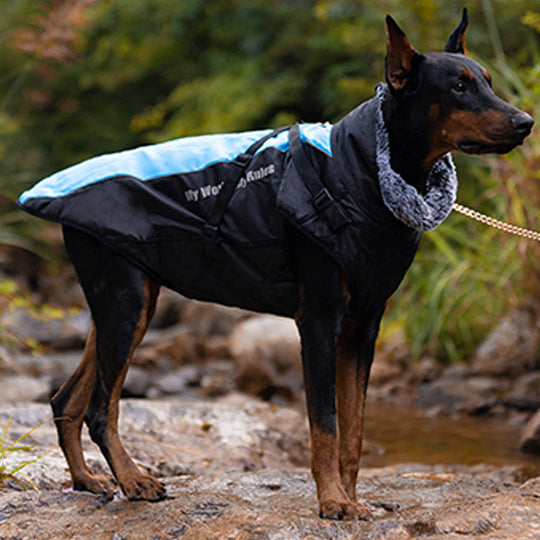 🔥Waterproof Warm Vest Jacket for Dog🎁