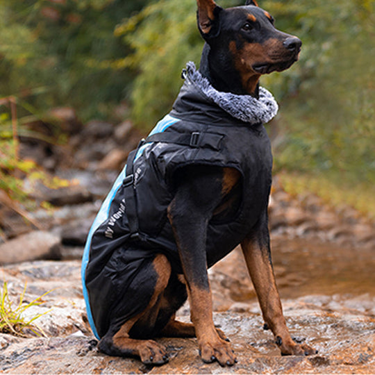 🔥Waterproof Warm Vest Jacket for Dog🎁