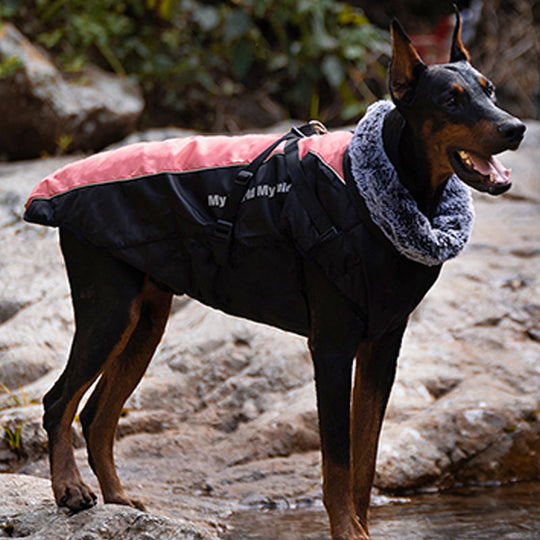 🔥Waterproof Warm Vest Jacket for Dog🎁