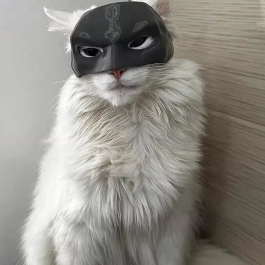 Cat Mask Pet Toys