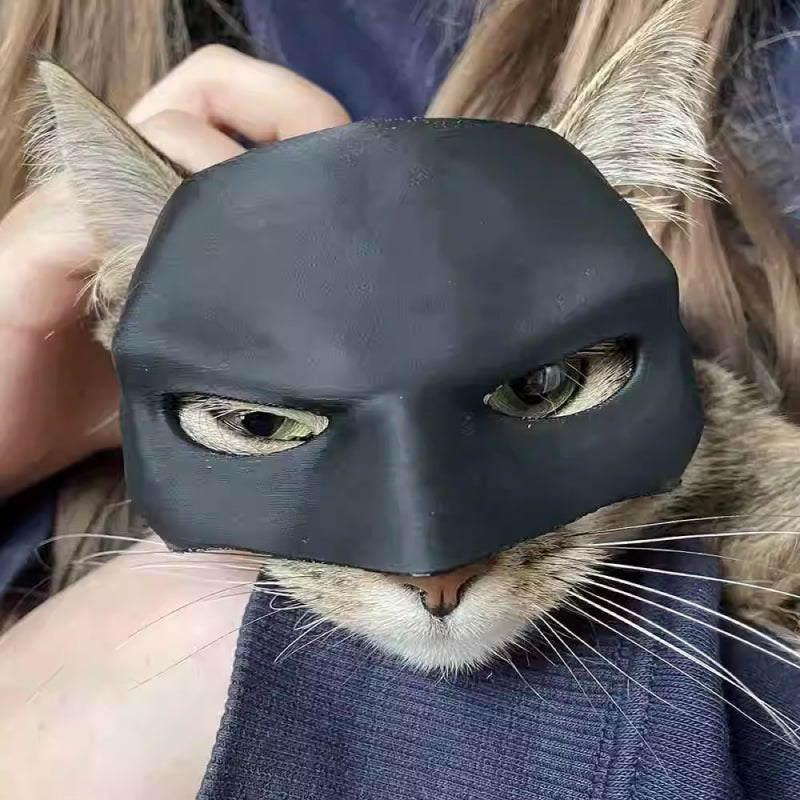 Cat Mask Pet Toys