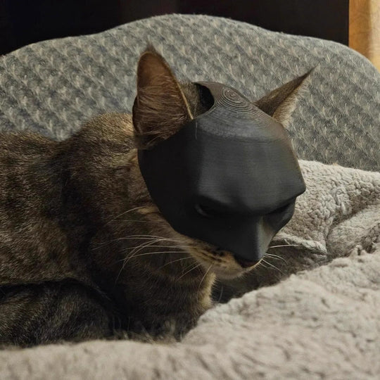 Cat Mask Pet Toys