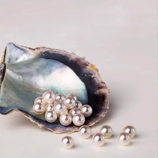 ✨Ladies' high-end exquisite handmade pearl brooch