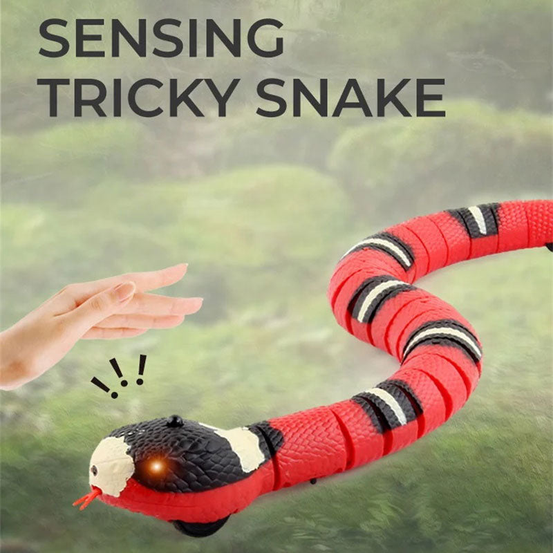 Innovative remote control sensing snake