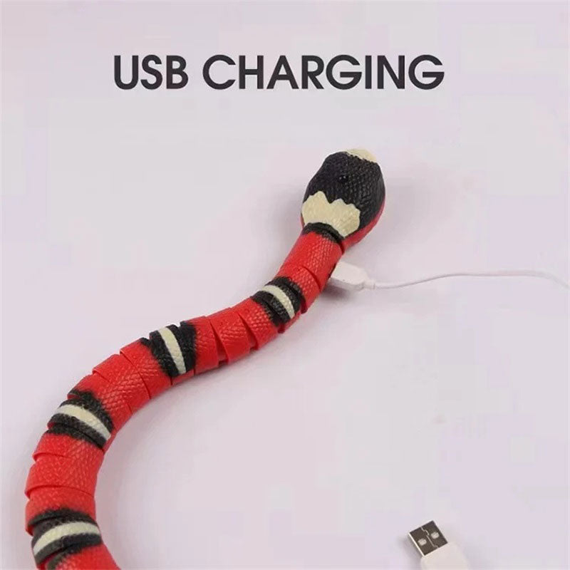 Innovative remote control sensing snake