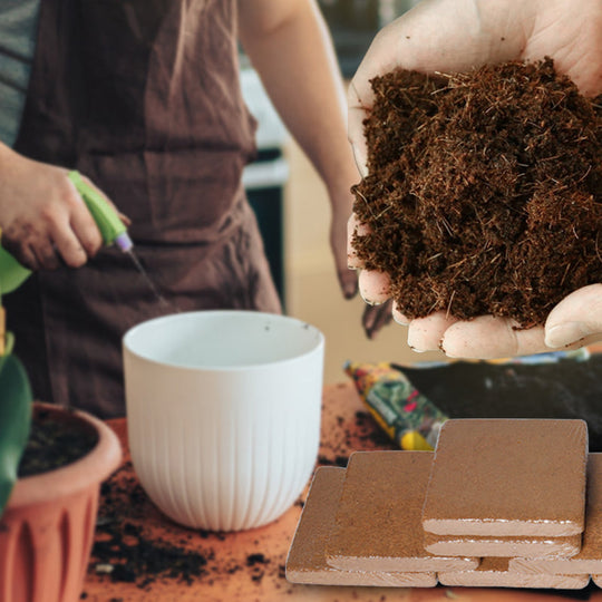 ✅LIMIT TIME 50% OFF 5pcs🌱Natural coco coir floor tiles