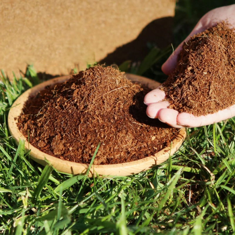 ✅LIMIT TIME 50% OFF 5pcs🌱Natural coco coir floor tiles