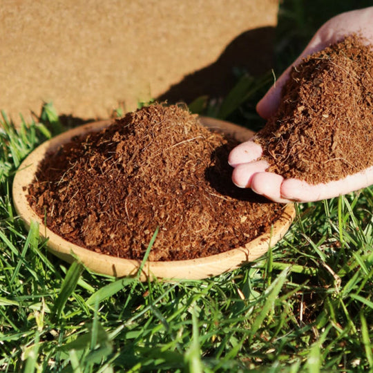 ✅LIMIT TIME 50% OFF 5pcs🌱Natural coco coir floor tiles