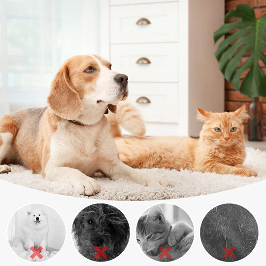 🐶Easter Special 50% OFF🐱Pet Spray Hair Removal Comb