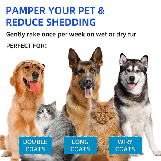 🐶Easter Special 50% OFF🐱Pet Spray Hair Removal Comb