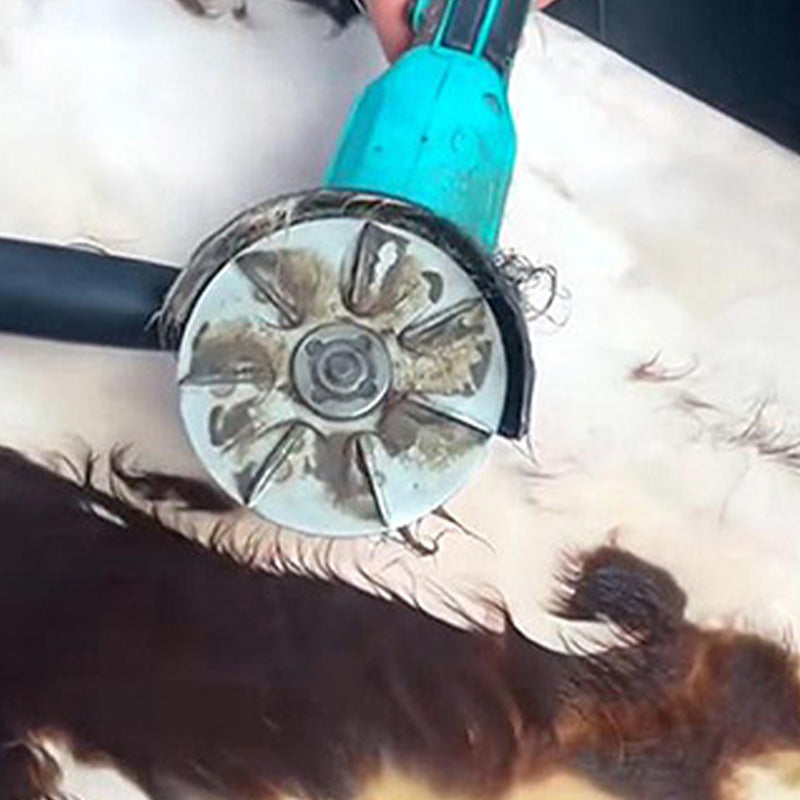 Työvoimaa säästävä siankarvojen poistokaavinlevy